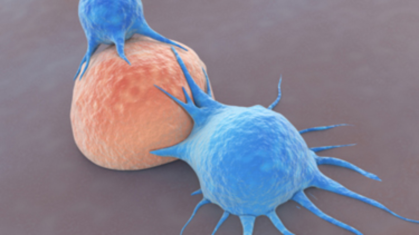 T-Cells Attacking Cancer Cell