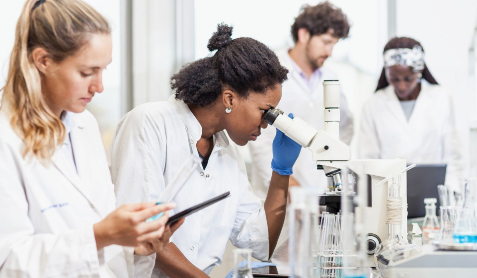 Laboratory technicians at work.